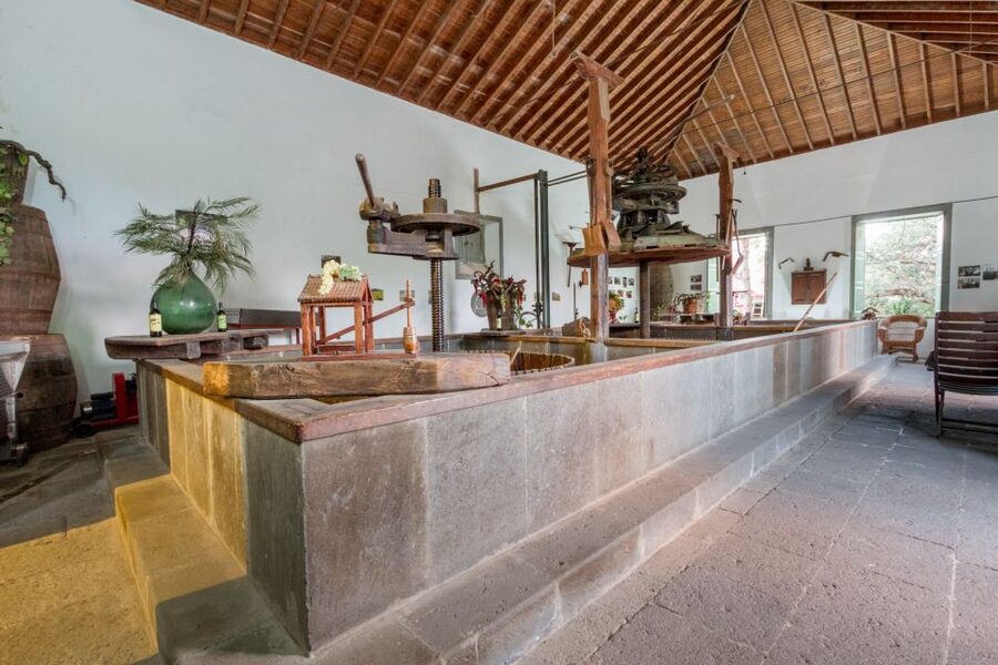 Gran Canaria: Winery Tour, Wine Museum, and Tasting - Who should book this winery tour?