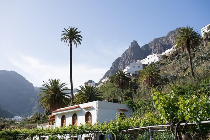 Grand Tour in Gran Canaria - Mountain roads, minerals, and wide views