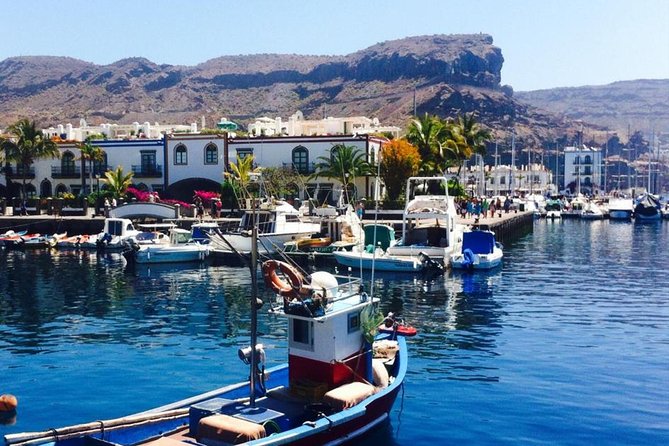 Grand Tour in Gran Canaria - Coffee tasting in Valle de Agaete