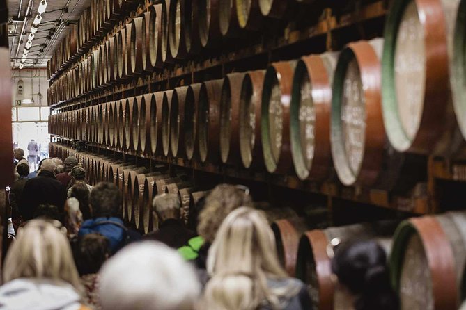 Guided Tour at Ron Arehucas Distillery - Key points to know before you go