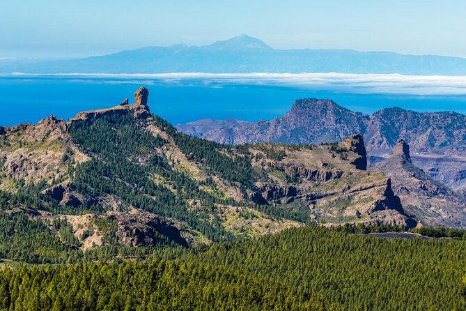 Guided tour: Discover Gran Canaria - Key points at a glance