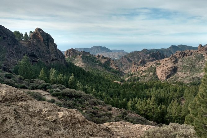 Guided tour: Discover Gran Canaria - Arucas and its striking Saint John’s Church