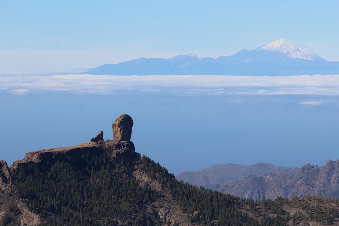 Guided tour: Discover Gran Canaria - Ayacata, San Bartolomé, and Fataga