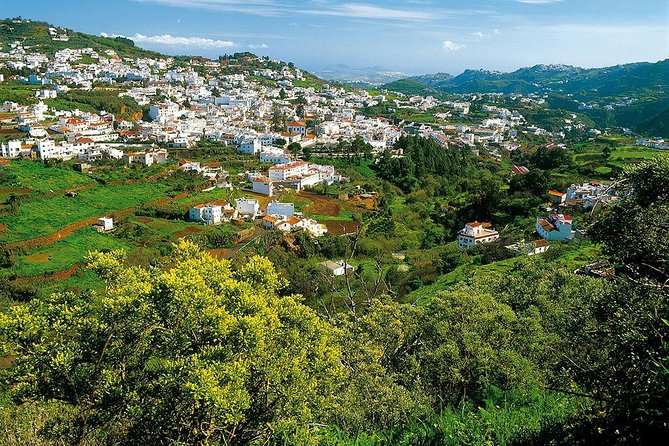 Guided tour: Discover Gran Canaria - The aloe vera farm and the commercial side of the day