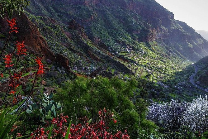 Guided tour: Discover Gran Canaria - What the coach is like for an 8.5-hour day
