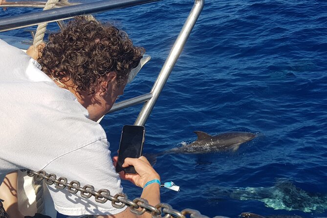 Half-Day Cruise Tour-Dolphin and Whale Watching - Setting out from Puerto Rico Marina