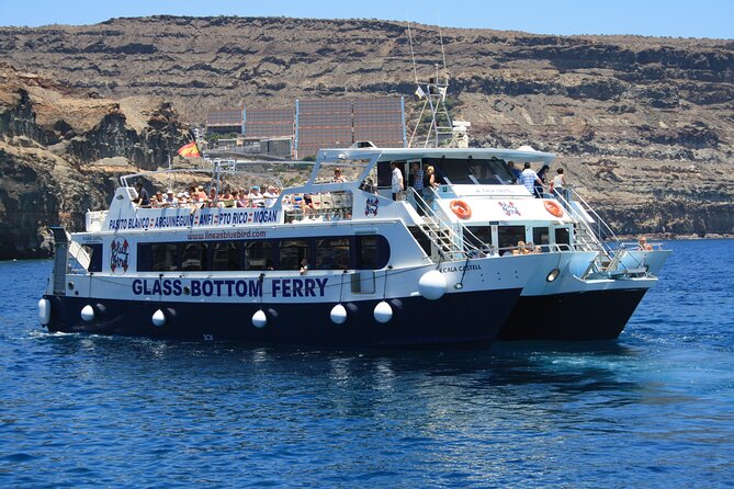 Half-Day Cruise Tour-Dolphin and Whale Watching - The swimming and snorkeling stop