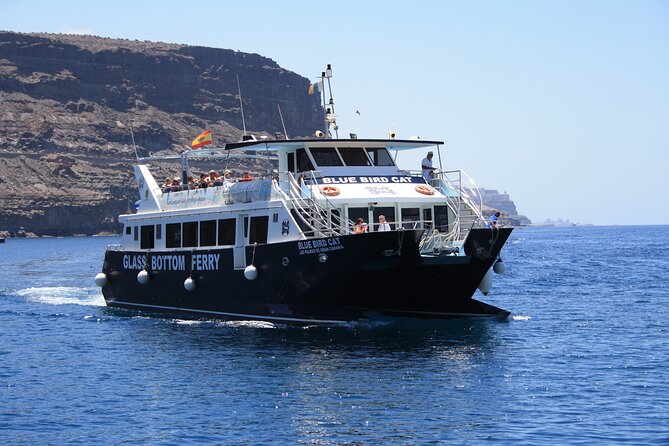 Half-Day Cruise Tour-Dolphin and Whale Watching - Is $44.65 a fair price?