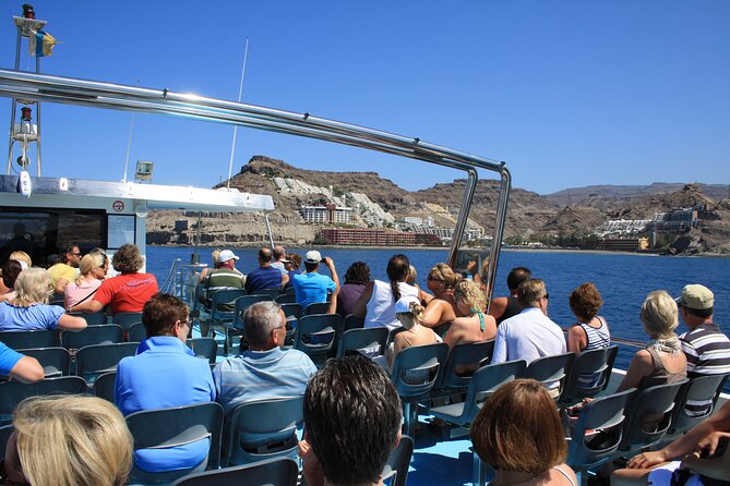 Half-Day Cruise Tour-Dolphin and Whale Watching - Should you book the Puerto Rico dolphin cruise?