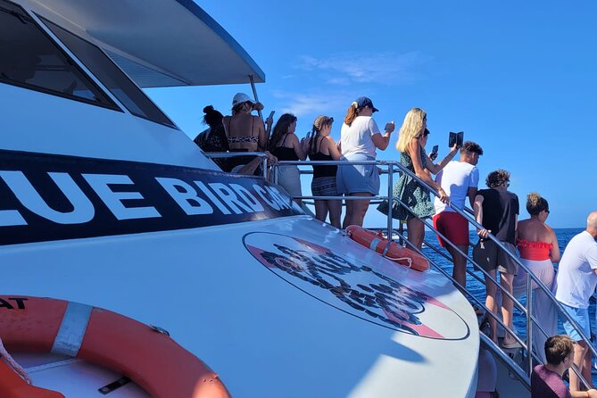 Half-Day Cruise Tour-Dolphin and Whale Watching - What the catamaran offers on board