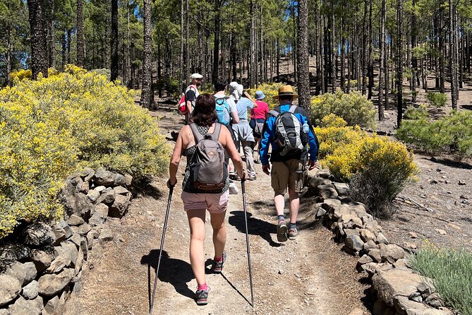 Hikes Roque Nublo - What the 8 Kilometer Hike Is Like