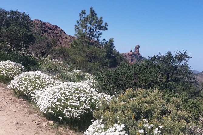 Hikes Roque Nublo - Is $106.04 a Fair Price?