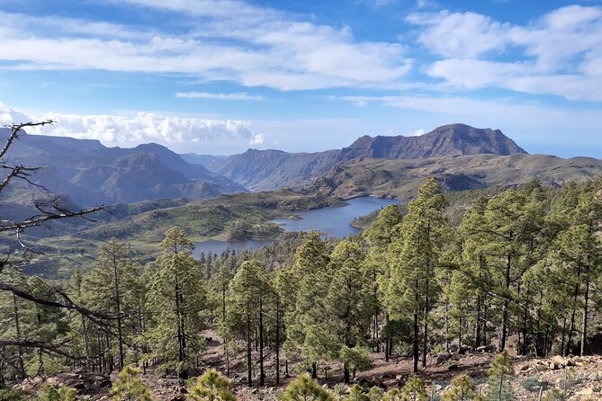 Hiking experience in the north of Gran Canaria - Key points to know before booking