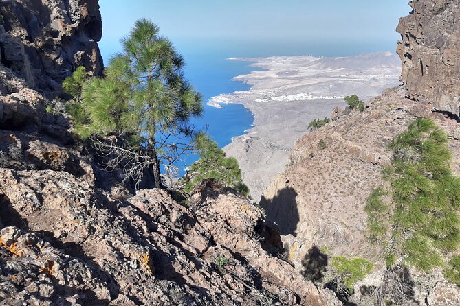 Hiking experience in the north of Gran Canaria - Lunch, water, and the practical middle of the day