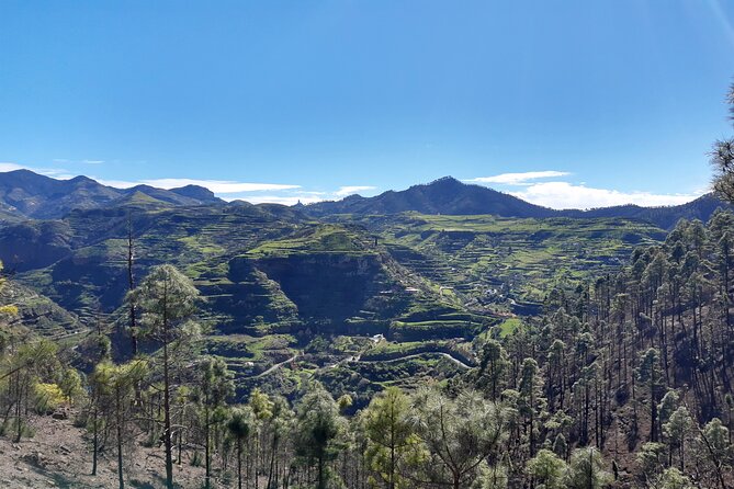 Hiking experience in the north of Gran Canaria - A route chosen for the day