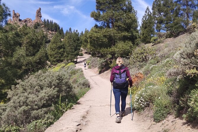 Hiking in the Sacred Mountains of Gran Canaria: UNESCO - Mesa de Acusa: ending with caves and an older Gran Canaria