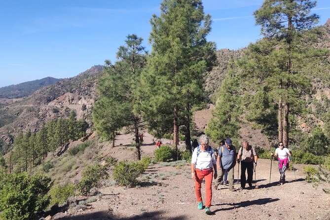 Hiking in the Sacred Mountains of Gran Canaria: UNESCO - Who will enjoy this walk most