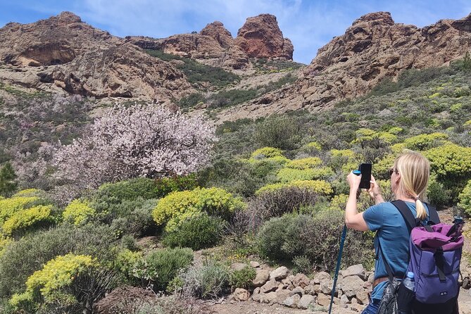 Hiking in the Sacred Mountains of Gran Canaria: UNESCO - Roque Bentayga: scenery with a stronger cultural thread
