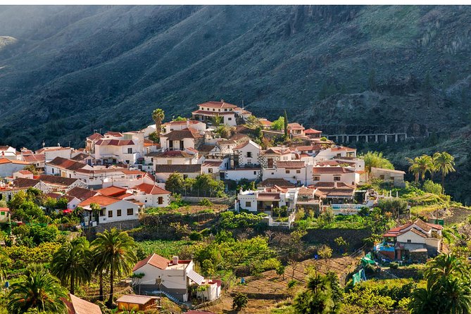 Jeep Tour 4x4 in Gran Canaria - Who should book this mountain ride?