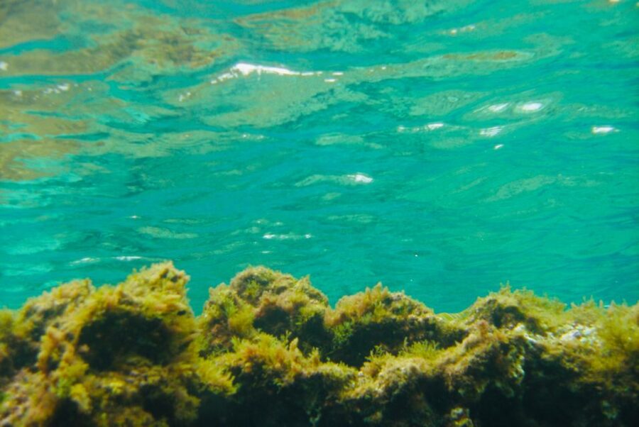 Las Canteras Scuba Diving - From the briefing room to the water