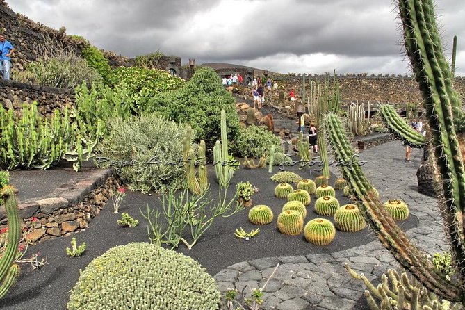 Las Palmas, Botanical Garden & Bandama Crater tour - Gran Canaria - What this Gran Canaria tour actually gives you