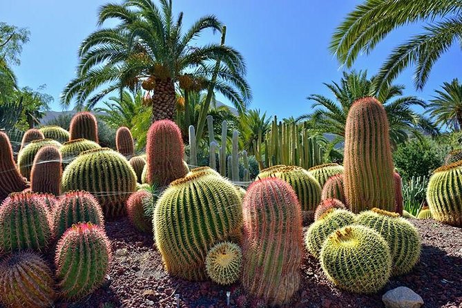 Las Palmas, Botanical Garden & Bandama Crater tour - Gran Canaria - Pickup and the important Las Palmas exception
