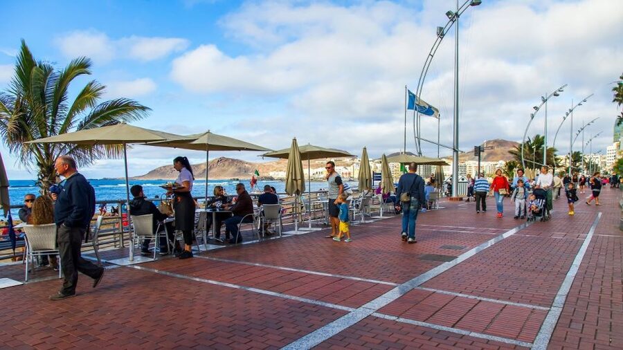Las Palmas, Botanical Gardens and Bandama Volcano Tour - Key points to know before booking