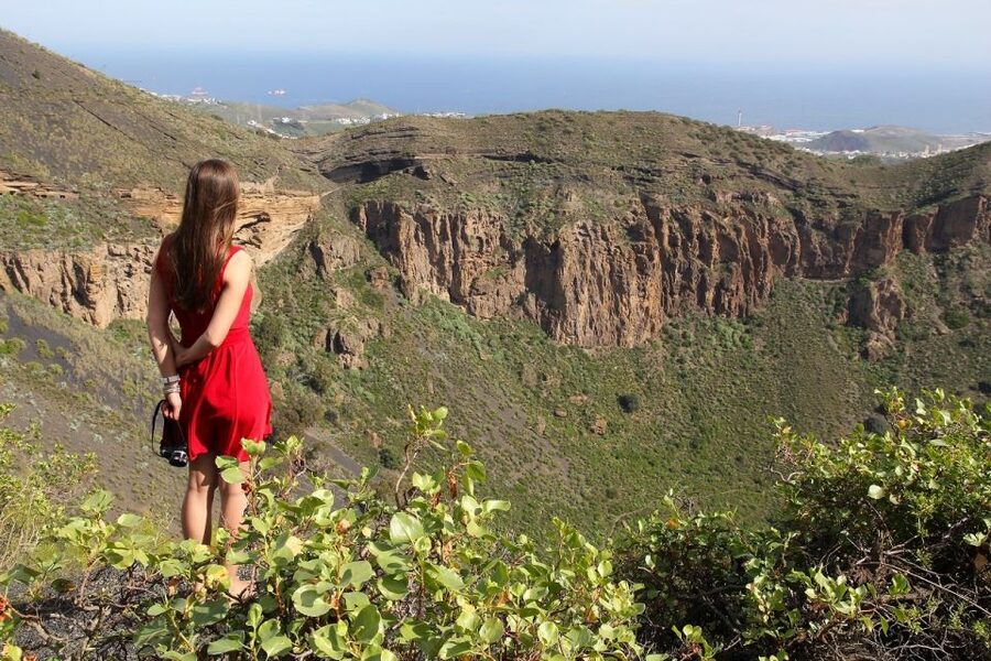 Las Palmas, Botanical Gardens and Bandama Volcano Tour - Who will get the most from this day