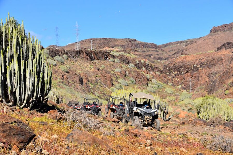 Las Palmas: Gran Canaria Guided Buggy Tour - Key points to know before you book
