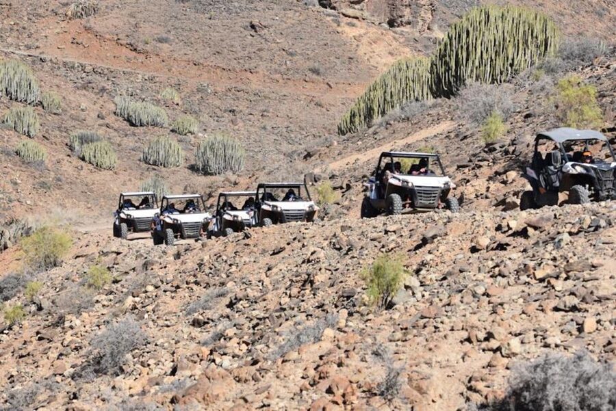 Las Palmas: Gran Canaria Guided Buggy Tour - Taking the wheel on rocky mountain tracks
