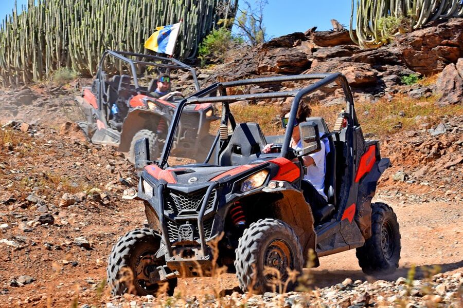 Las Palmas: Gran Canaria Guided Buggy Tour - Scenic stops in Gran Canaria’s southern mountains