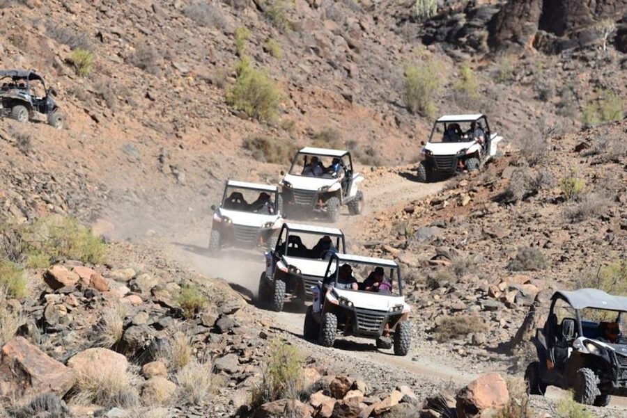 Las Palmas: Gran Canaria Guided Buggy Tour - Guides, safety, and the group experience