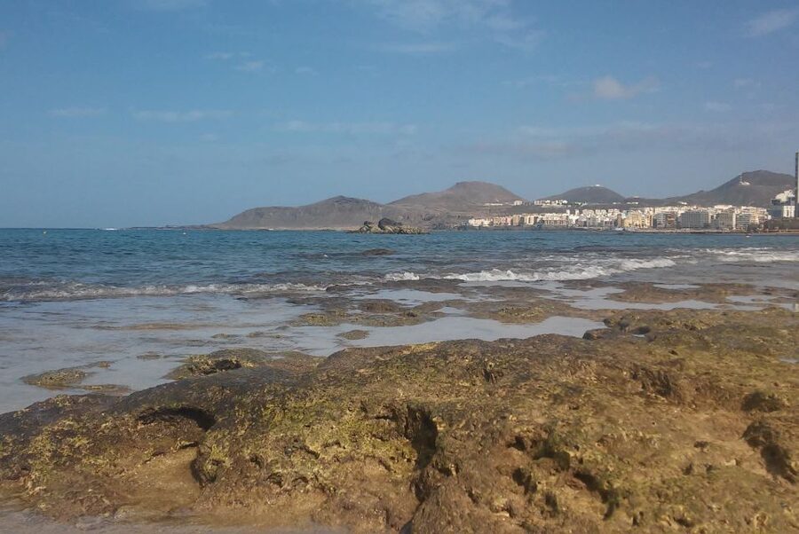 Las Palmas: Las Canteras Beach Snorkeling Trip - Key points at a glance
