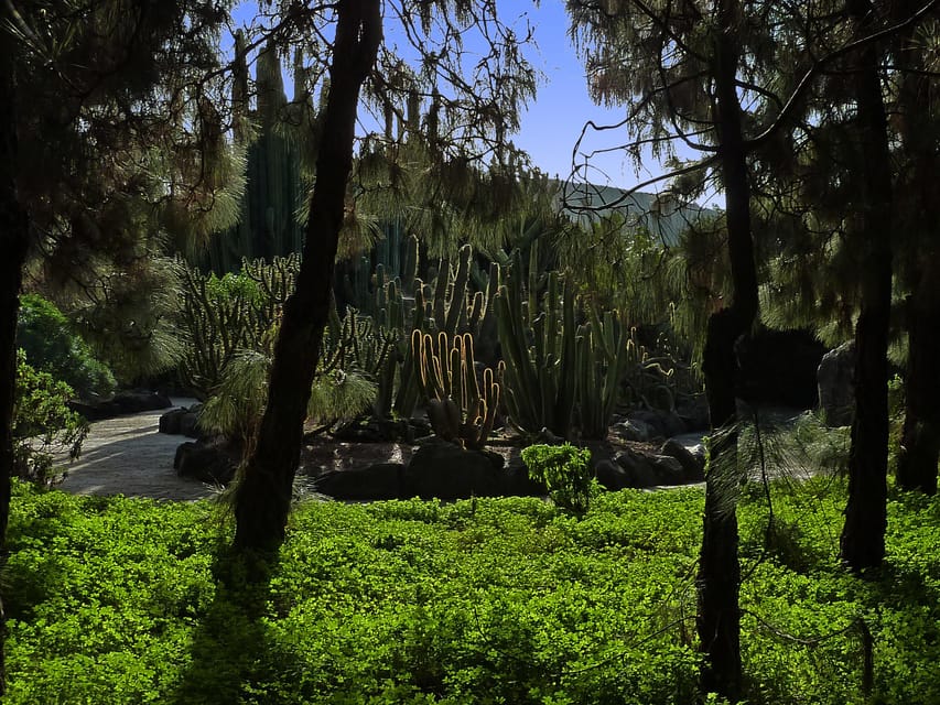 Las Palmas: Privat Botanic Garden Tour & opt. hike Extension - Why this garden is worth time away from the coast