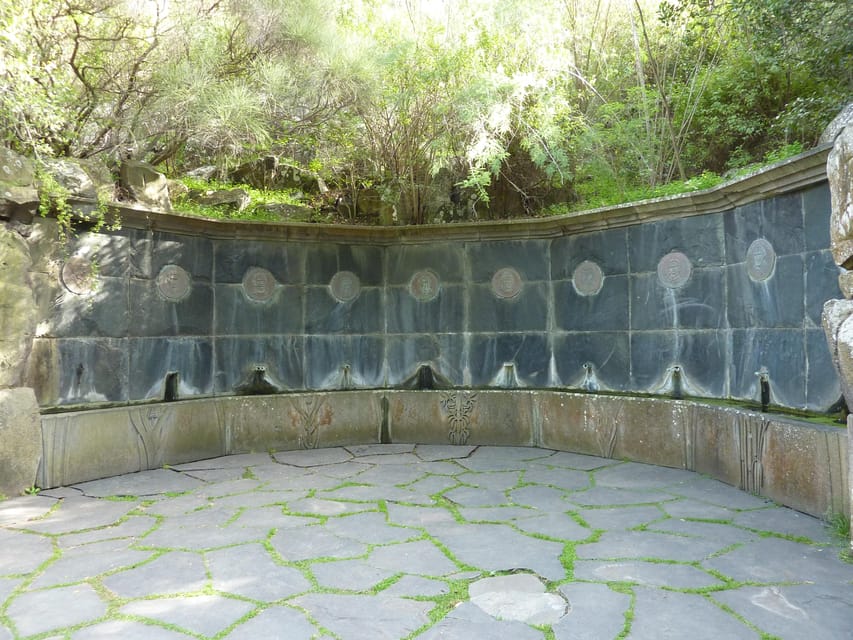 Las Palmas: Privat Botanic Garden Tour & opt. hike Extension - What the $34 price includes
