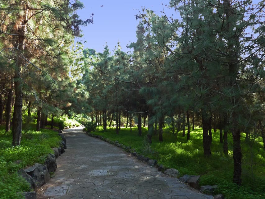 Las Palmas: Privat Botanic Garden Tour & opt. hike Extension - Starting in central Las Palmas