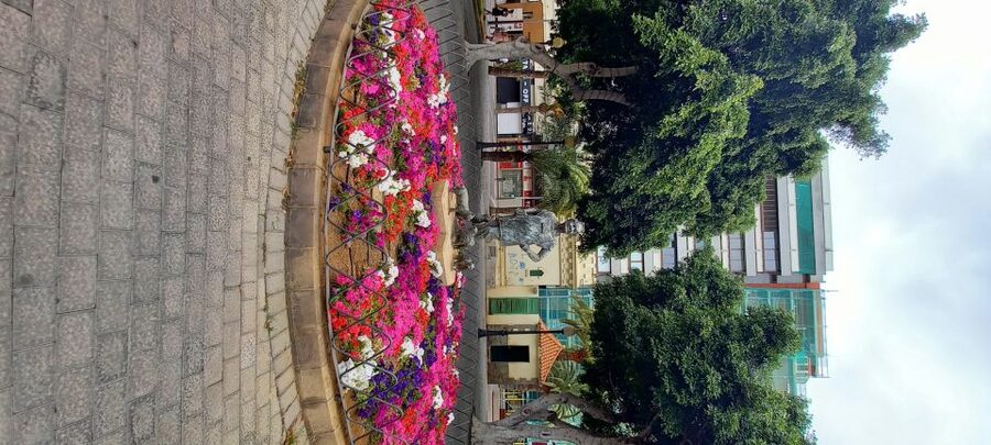 Las Palmas: Private City Highlights & Northern Villages Tour - Key points at a glance