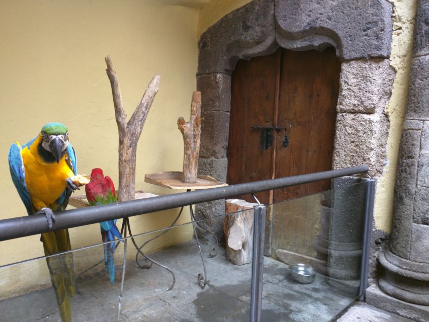 Las Palmas: Private Old City Guided Walking Tour with Tapas - Walking through Vegueta’s colonial streets