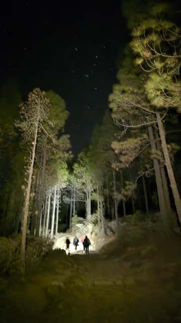 Las Palmas: Sunset & Night Sky Guided Astronomy Hiking Tour - What the guide adds