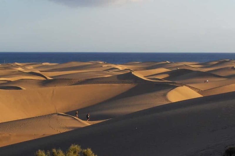 Maspalomas: 1 Hour Segway Sightseeing Tour - Starting at Bici Bike Vintage in Cita Shopping Center