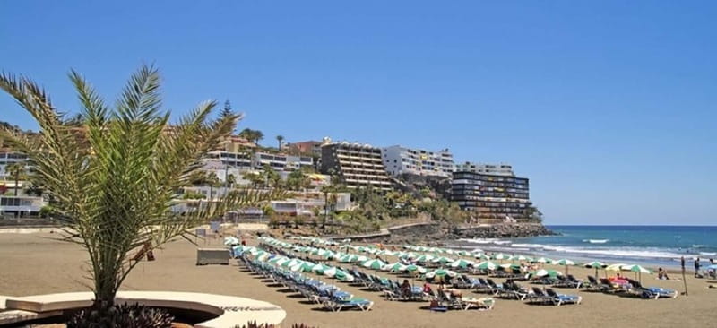 Maspalomas: 1 Hour Segway Sightseeing Tour - What the 51 dollar price really gets you