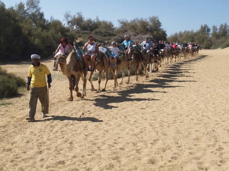 Maspalomas: 2-Seater E-Scooter Dunes Tour with Camel - Meloneras and the Columbus monument