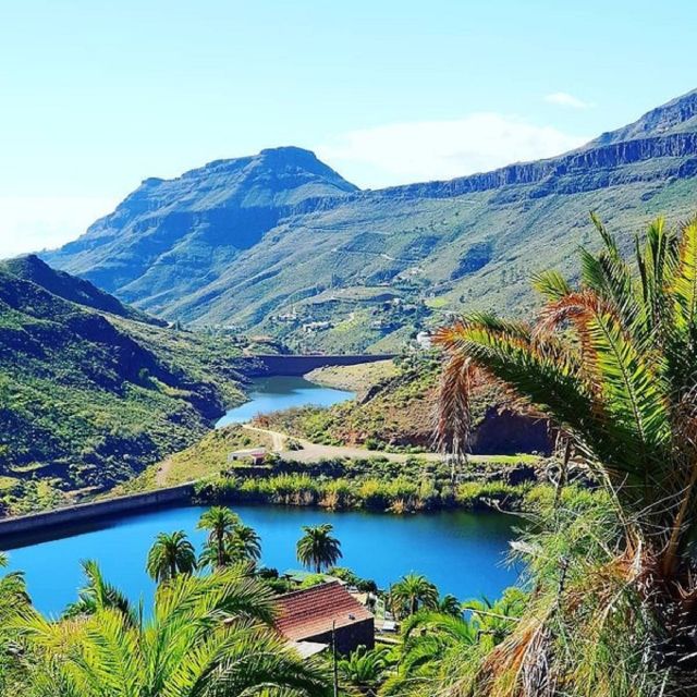 Maspalomas: Ayagaures E-Bike Mountain Tour Optional Tapas - The cave bar and tropical fruit drink