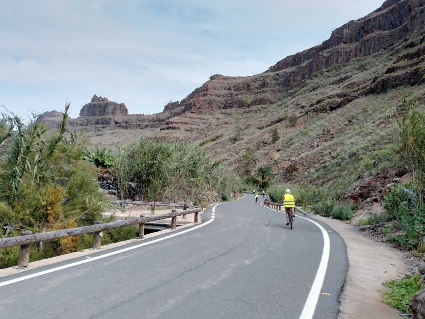 Maspalomas: Ayagaures E-Bike Mountain Tour Optional Tapas - The Ayagaures Dam viewpoint