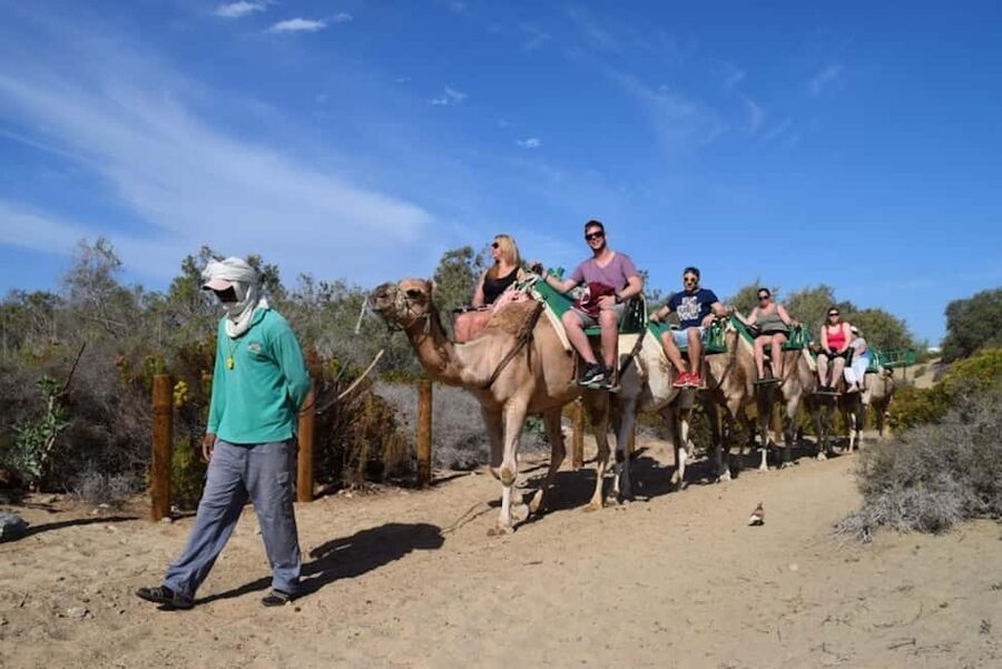 Maspalomas: Guided Camel Ride in the Maspalomas Sand Dunes - Booking, cancellations, and small details