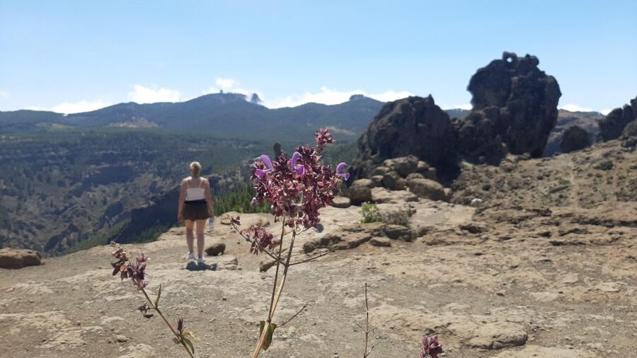 Maspalomas: Hiking to Roque Nublo with 2 authorised guides - What bad weather means for the day