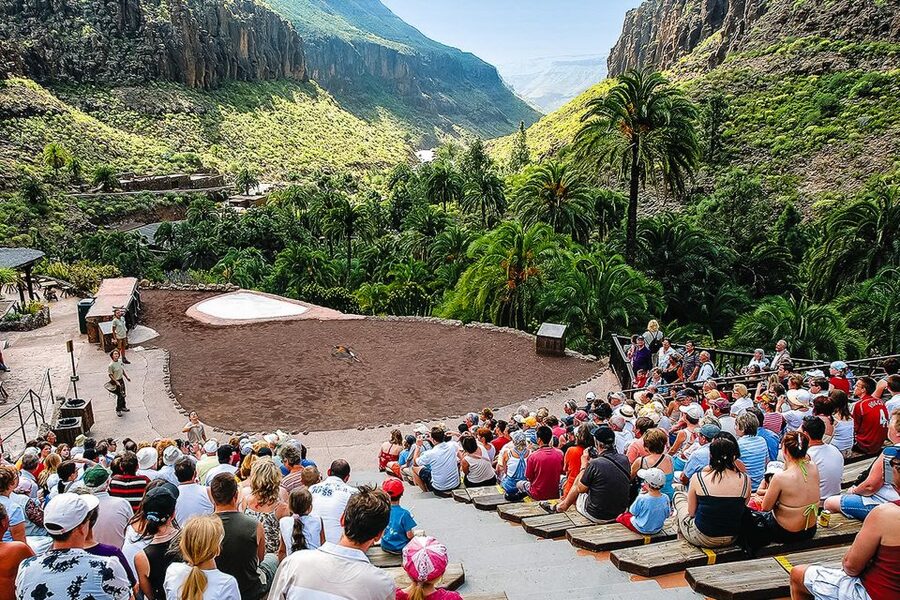 Maspalomas: Palmitos Park Ticket with Dolphin and Bird Shows - Reptiles, caimans, and the Komodo dragon