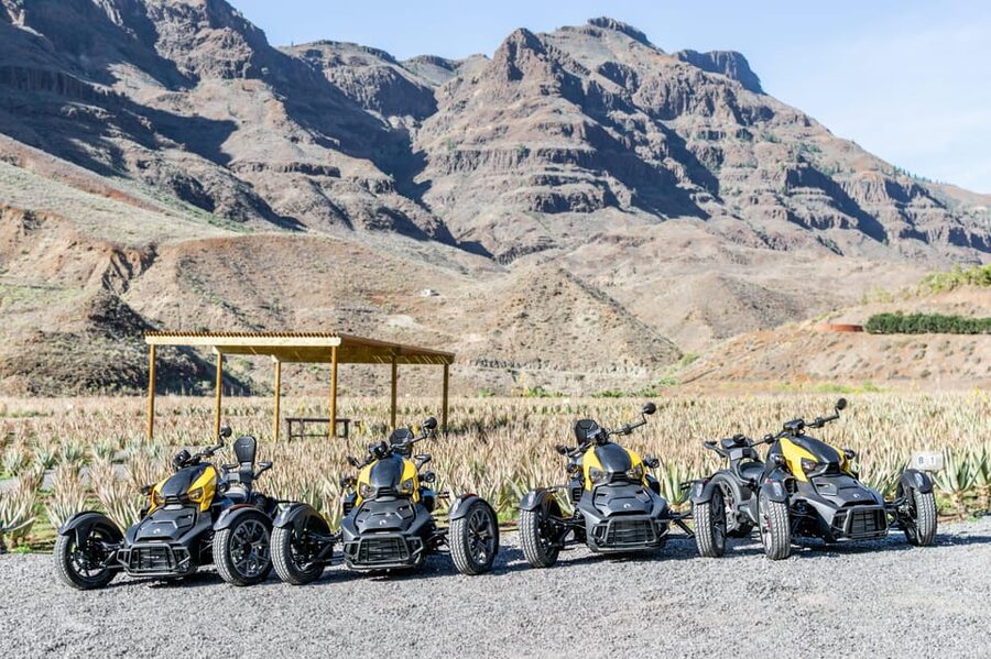 Maspalomas: Ryker Moto Tour to Fataga (Mountain buggy) - Aloe Vera and Gran Canaria’s Dry Southern Character
