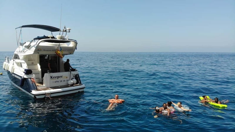 Mogan: Dolphin Watching Boat Trip with Swim Stop - Key points before you book