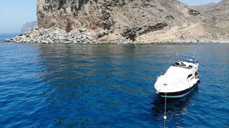Mogan: Dolphin Watching Boat Trip with Swim Stop - The southwest coast from the water